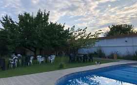 Galeria In The Garden